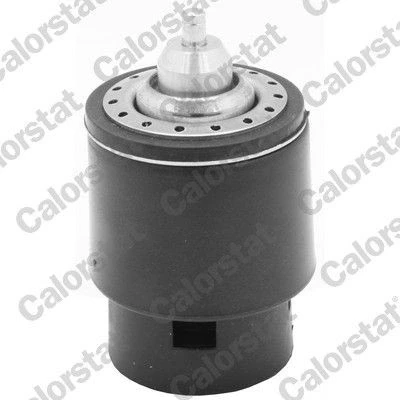 Kuva CALORSTAT by Vernet TH7266.95 Termostaatti 95 AUDI: A5 B9 Coupe, Sportback