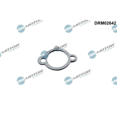 Kuva Tiiviste, jakoketjun kiristin Dr.Motor Automotive DRM02642
