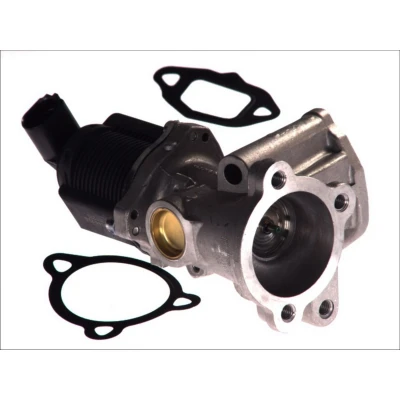 Kuva PIERBURG 7.00020.39.0 EGR Venttiili Sähköinen Magneettiventtiili Tiivisteillä FORD: KA Hatchback