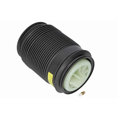 Kuva Dunlop Airsuspension 71196 Ilmajousi, Jousitus Taka akseli, vasen