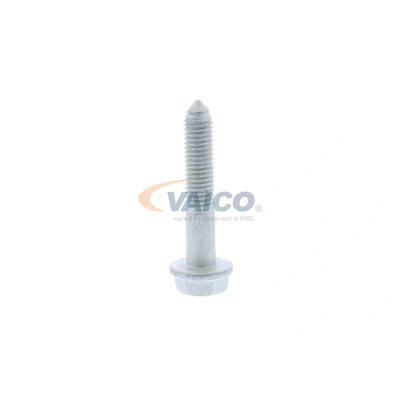 Kuva VAICO V10 2545 Ruuvi