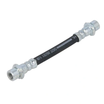 Kuva DELPHI LH6743 Jarruletku 155 M10x1 Int DF
