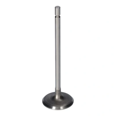 Kuva FEBI BILSTEIN 181077 Imuventtiili 32,7 RENAULT: CLIO 3, LAGUNA 2 Grandtour, MEGANE 1, DACIA: Duster SUV