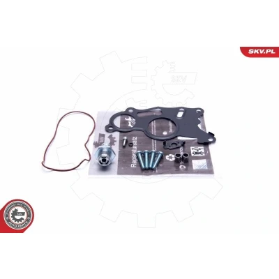 Kuva Korjaussarja, alipainepumppu (jarru) Audi, Seat, Skoda, Vw OE 03L145100, 3L145100F