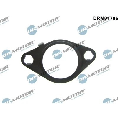 Kuva DR.MOTOR AUTOMOTIVE DRM01706 Tiiviste, EGR Venttiili jäähdyttimen jälkeen FORD: MONDEO 4 Turnier, FIESTA 6