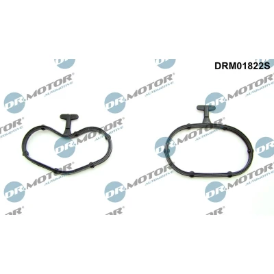 Kuva DR.MOTOR AUTOMOTIVE DRM01822S Tiivistesarja, Öljynjäähdytin