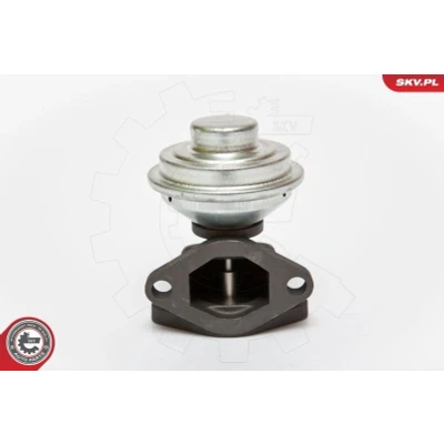 Kuva Venttiili, pakokaasun kierrätys RENAULT LAGUNA I, Grandtour I OE 7700100230, 7700102850, 7700105136