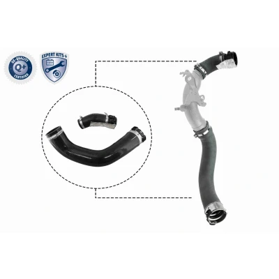 Kuva VAICO V46 1025 Ahdinletku EXPERT KITS +