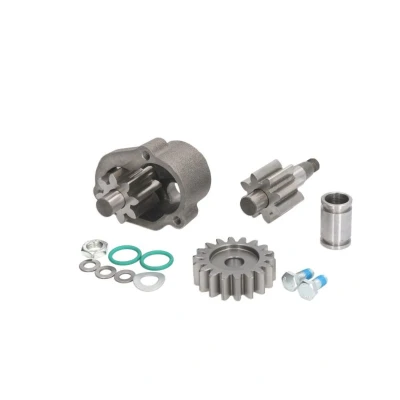 Kuva FEBI BILSTEIN 46600 Öljypumppu vetävä pyörä