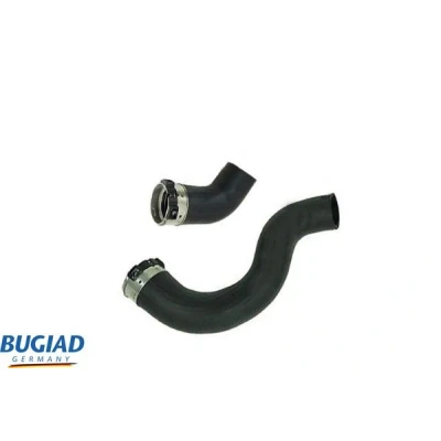 Kuva BUGIAD 82432 Ahdinletku Kuorilla