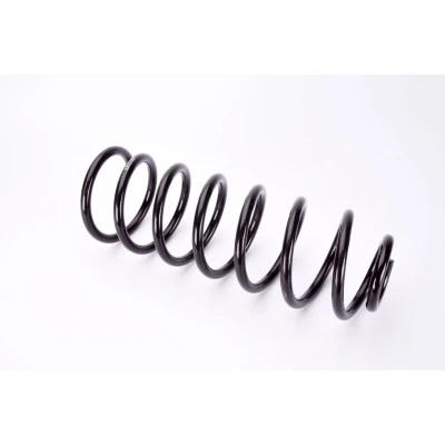 Kuva Magnum Technology SW050MT Jousi Taka akseli Kierrejousi VOLKSWAGEN: GOLF 3, Vento