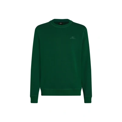 Kuva O&#039;Neill Small Logo Crew Neulepaita sininen