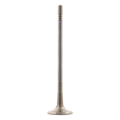 Kuva FEBI BILSTEIN 28643 Pakoventtiili 27,5 OPEL: Vectra C CC, Meriva A, Astra H Hatchback, ALFA ROMEO: 159 Sedan