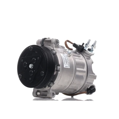 Kuva DELPHI CS20552 Ilmastoinnin Kompressori PXC16 PAG 46 LAND ROVER: Range Rover Sport
