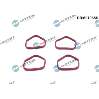 Kuva DR.MOTOR AUTOMOTIVE DRM01985S Tiivistesarja, Imusarja