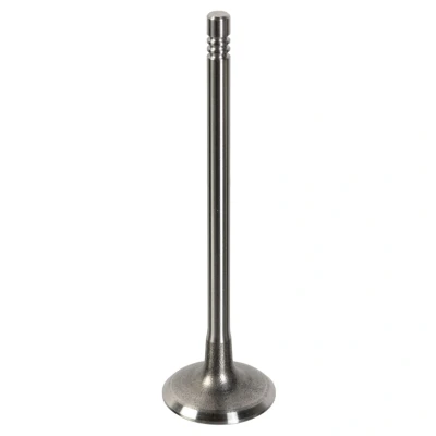 Kuva FEBI BILSTEIN 181647 Imuventtiili 28,3 CITROËN: C4 I Hatchback, PEUGEOT: 307 Hatchback