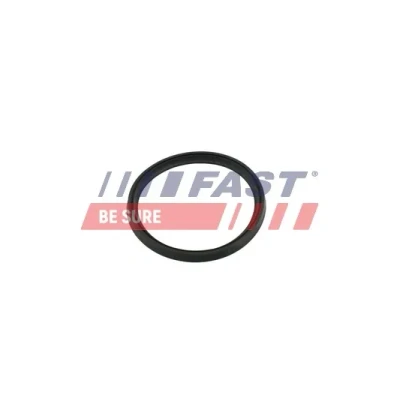 Kuva FAST FT49854 Rengastiiviste OPEL: Vivaro B Van, RENAULT: MEGANE 3 Grandtour