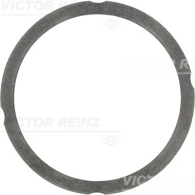 Kuva REINZ 61 25475 20 Kannentiiviste 1,1 102,6