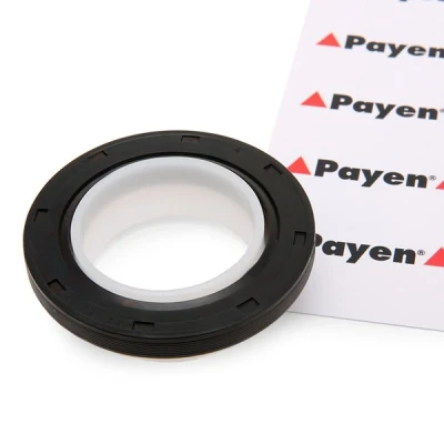 Kuva PAYEN NA5191 Kampiakselin Tiiviste PTFE (polytetrafluorietyleeni) PEUGEOT: Boxer Van, 206 Hatchback, Bussi, FORD: MONDEO 4 Turnier, S Max Mk1