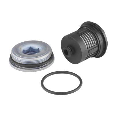 Kuva BorgWarner DS120456 Hydrauliikkasuodatin, Haldex kytkin VOLKSWAGEN: Transporter 5, Multivan 5 (7HM, Passat B6 Variant, AUDI: A3 Sportback, TT Coupe