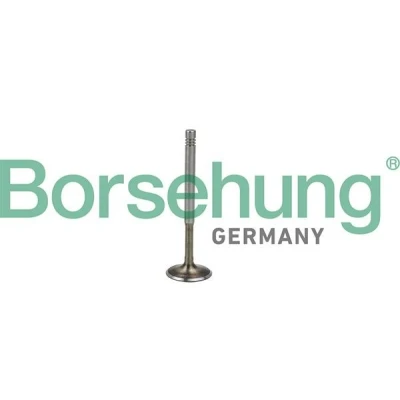 Kuva Borsehung B19009 Pakoventtiili AUDI: A4 B6 Sedan, B7 Avant, TT Coupe, VOLKSWAGEN: Golf 4 Variant, Bora
