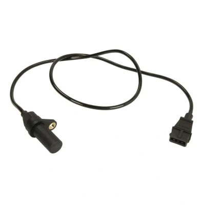 Kuva DELPHI SS10819 Kampiakselin Asentotunnistin 3
