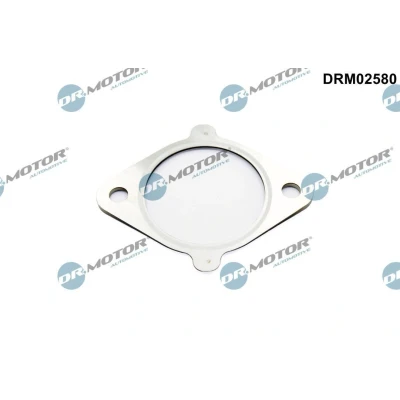 Kuva Tiiviste, EGR venttiili Dr.Motor Automotive DRM02580