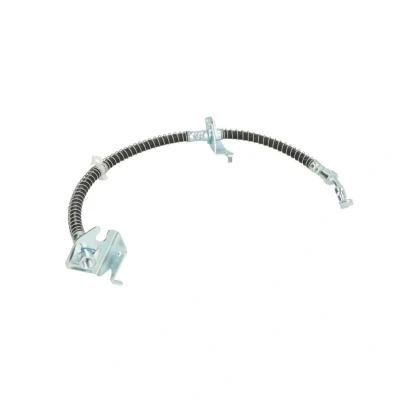 Kuva DELPHI LH0405 Jarruletku 500 M10x1 Int SF