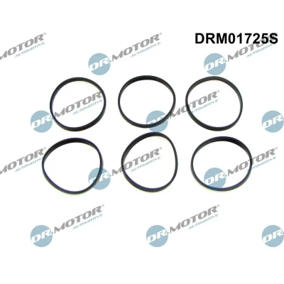 Kuva DR.MOTOR AUTOMOTIVE DRM01725S Tiivistesarja, Imusarja BMW: 5 Touring, Sedan, 3 Touring