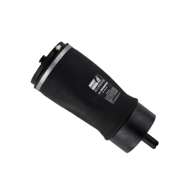 Kuva BILSTEIN 40 268446 Ilmajousi, Jousitus Taka akseli LAND ROVER: Range Rover 4