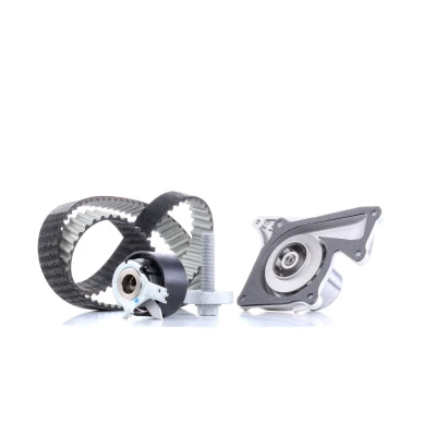 Kuva DAYCO KTBWP8860 Vesipumppu + Jakohihnasarja RENAULT: MEGANE 3 Grandtour, 3, Kangoo II / Grand Kangoo, DACIA: Duster SUV, SANDERO 2, LOGAN MCV 2