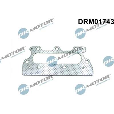 Kuva DR.MOTOR AUTOMOTIVE DRM01743 Pakosarjan Tiivisteet RENAULT: Twingo 3