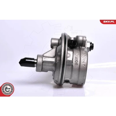 Kuva ESEN SKV 10SKV128 Ohjaustehostimen Pumppu CHRYSLER: Voyager / Grand 3