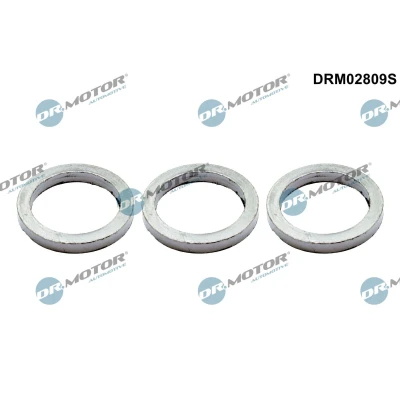 Kuva DR.MOTOR AUTOMOTIVE DRM02809S Tiivistesarja, pakosarja