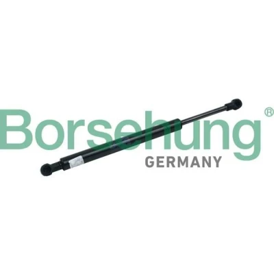 Kuva Borsehung B18457 Takaluukun Kaasujousi 550 317 Molemminpuolin VOLKSWAGEN: Touareg I