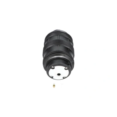 Kuva Ilmajousi, jousitus KAVO PARTS SAS 10026