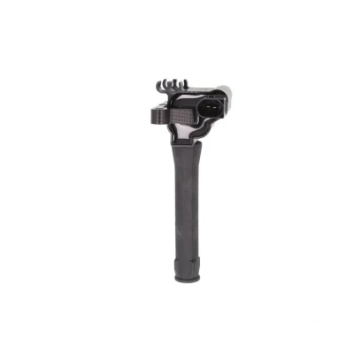 Kuva DELPHI CE10512 12B1 Sytytyspuola 2 12 LAND ROVER: Freelander I SUV