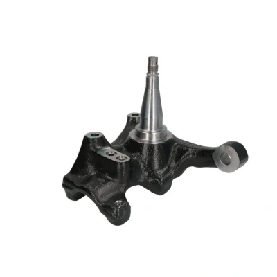 Kuva REINHOCH RH08 4025 Olka Akseli Etuakseli, vasen FORD: Focus Mk1 Hatchback, FIESTA 6