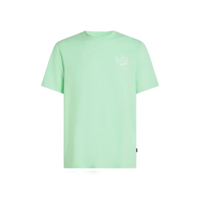 Kuva O&#039;Neill BOX LOGO Printtipaita, Koko: Large, Mildrew mint