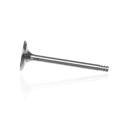 Kuva Imuventtiili, Imupuoli AUDI, SEAT, SKODA, VW OE 028 109 601 B, 028109601B