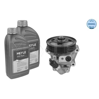 Kuva MEYLE 714 631 0035/S Ohjaustehostimen Pumppu Hydraulinen öljymäärä öljyhuuhtelulle FORD: MONDEO 4 Turnier, Stufenheck