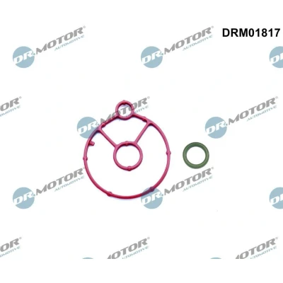 Kuva DR.MOTOR AUTOMOTIVE DRM01817 Tiivistesarja, Öljynjäähdytin FORD: Focus Mk3 Van / Farmari, PEUGEOT: 3008 I, CITROËN: C5 III Farmari