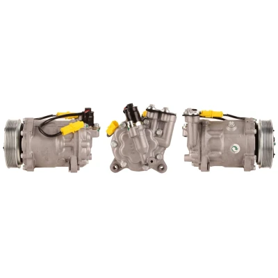 Kuva DRI 700510447 Ilmastoinnin Kompressori PAG 46 R 134a