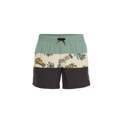 Kuva O&#039;Neill MIX AND Match CALI Block Uimashortsit, Koko: Medium, Beige venice beach