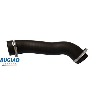 Kuva BUGIAD 82352 Ahdinletku Kuorilla