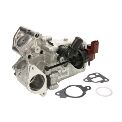 Kuva PIERBURG 7.03622.06.0 EGR jäähdytin Tiivisteillä OPEL: Corsa D Hatchback
