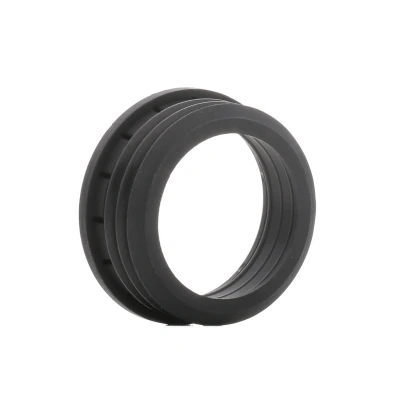 Kuva DR.MOTOR AUTOMOTIVE DRM01256 Tiivisterengas, ahtoilmaletku BMW: 5 Touring, 3 Sedan