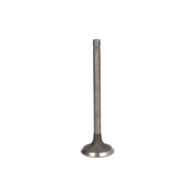 Kuva FRECCIA R4233/RNT Pakoventtiili 37,5 Venttiilivarsi nitrattu