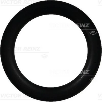 Kuva Tiivisterengas REINZ 40 76391 00