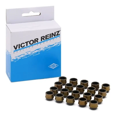Kuva REINZ 12 31306 03 Venttiilinvarren Kumit VOLVO: XC60 I, VOLKSWAGEN: Golf 4, AUDI: TT Coupe